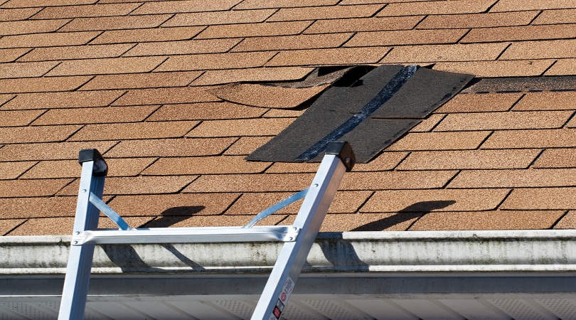 Maintain Your Roof